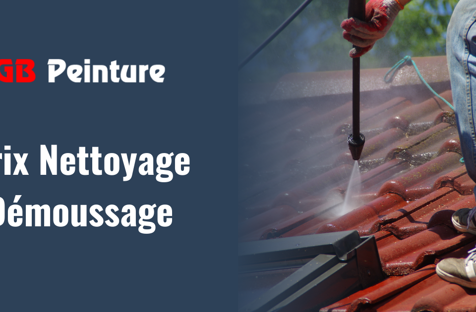 tarif nettoyage demoussage gb peinture
