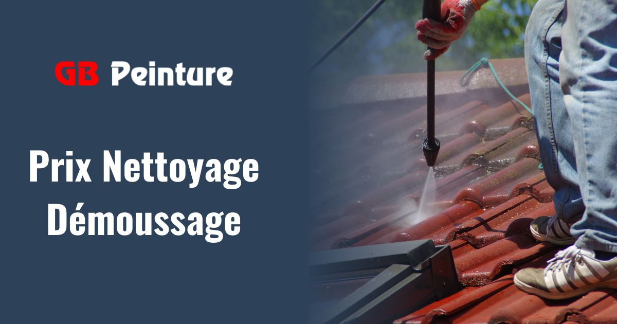 tarif nettoyage demoussage gb peinture