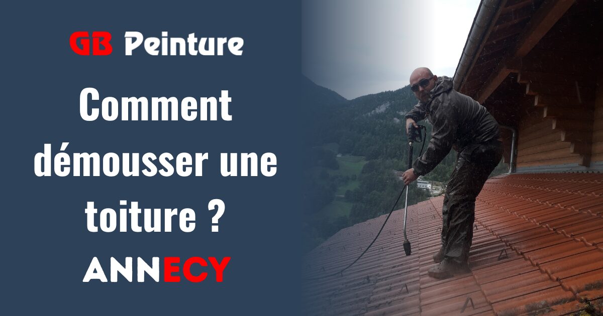 comment demousser toiture
