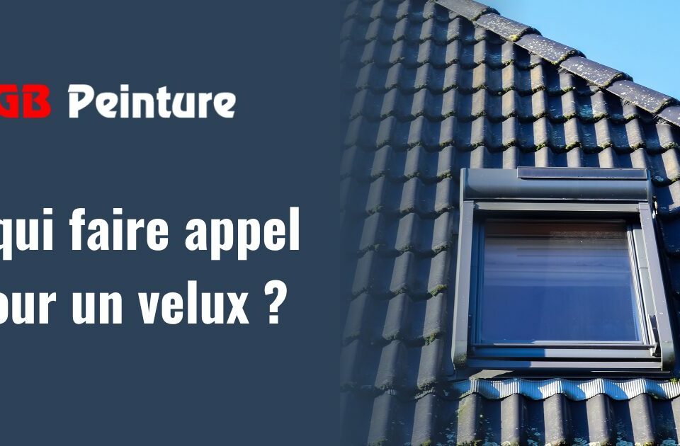 couvreur pose velux