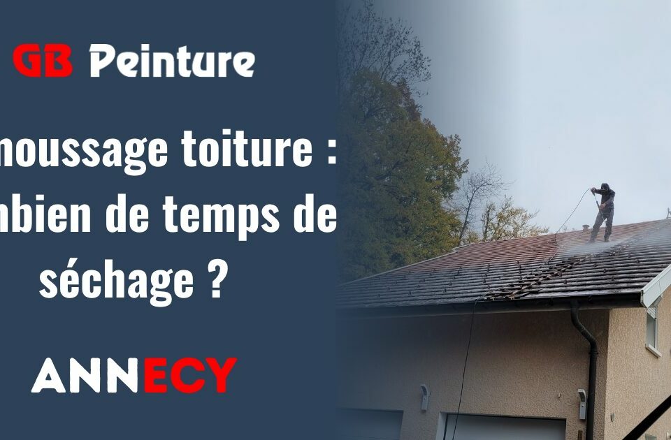 demoussage toiture combien temps