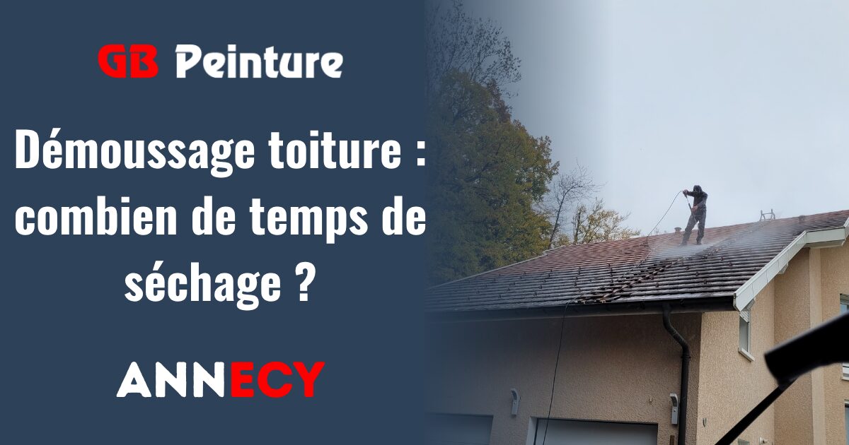 demoussage toiture combien temps