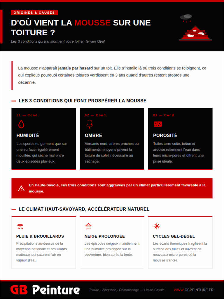 dou vient mousse toiture