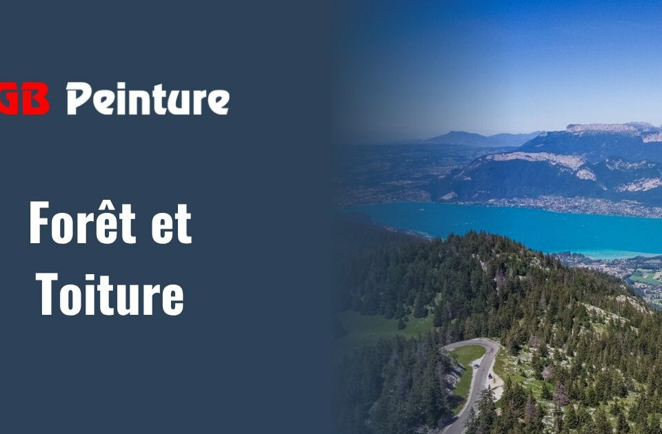 foret toiture annecy