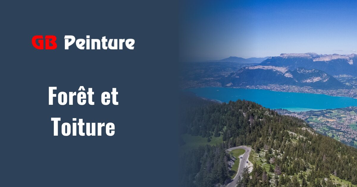 foret toiture annecy