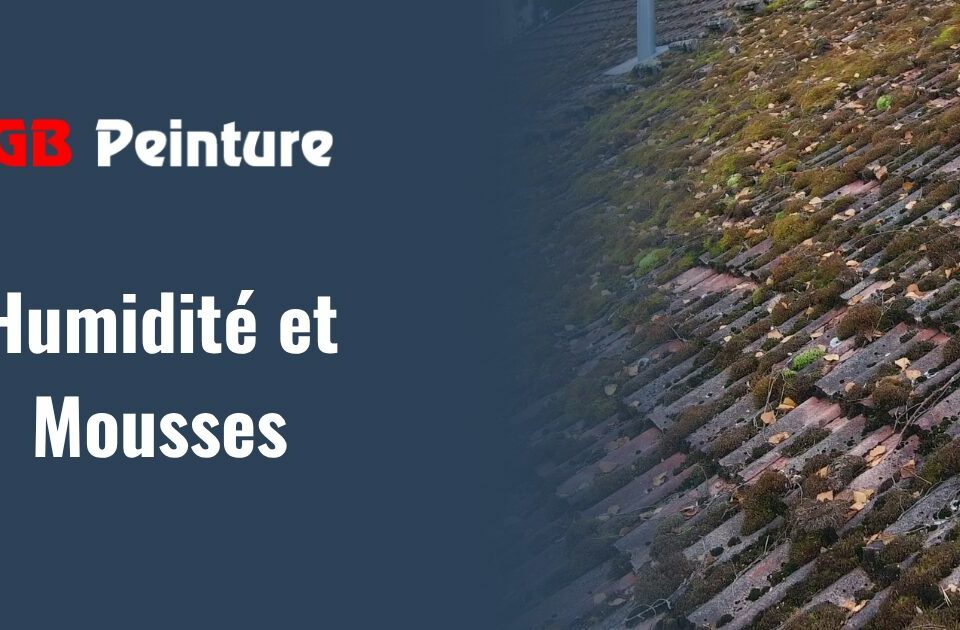 mousses climat annecy