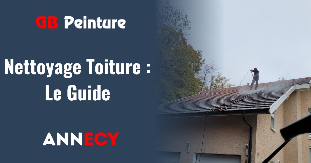 nettoyage toiture guide