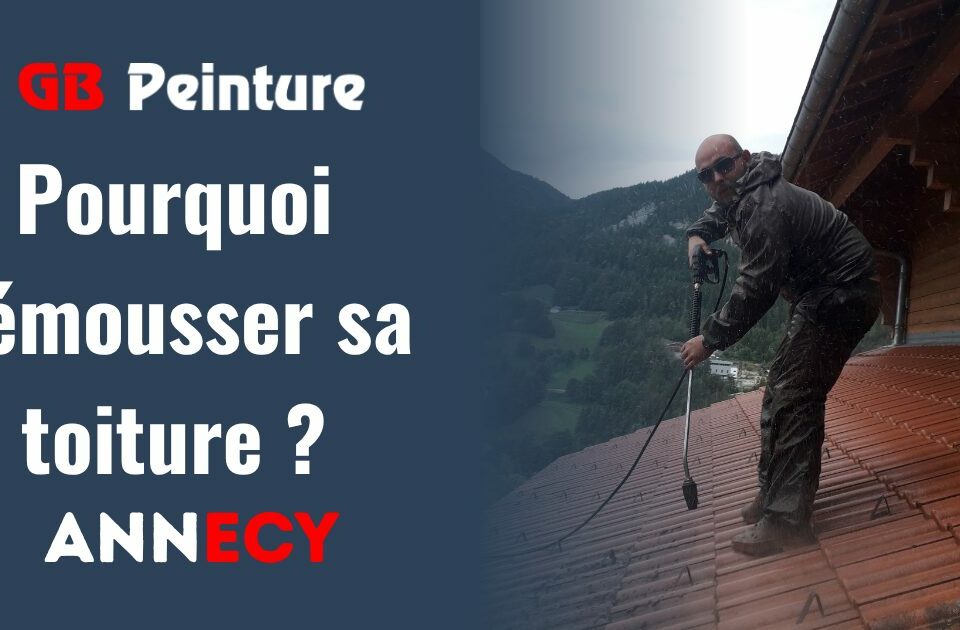 pourquoi demousser toiture