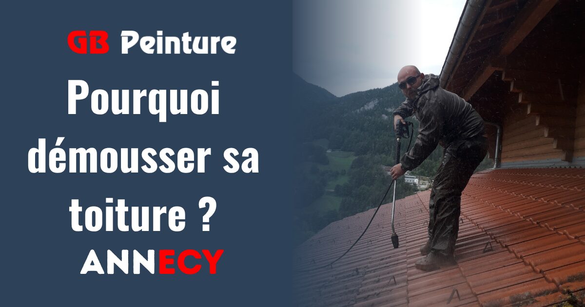 pourquoi demousser toiture