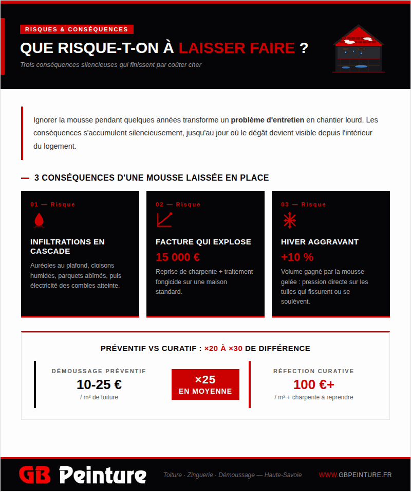 risques mousse toiture