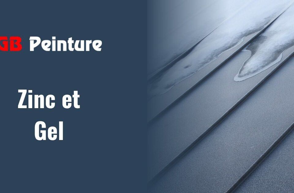 toiture zinc froid annecy