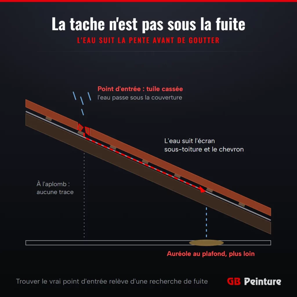 Coupe d'un toit en tuiles : l'eau entre par une tuile cassée, suit l'écran sous-toiture et le chevron, puis forme une auréole au plafond plus loin
